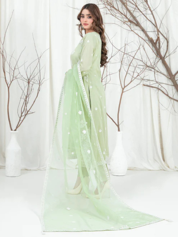 Aeni By Tawakkal Unstitched 3 Piece Fancy Embroidered Lawn Collection - Image 3